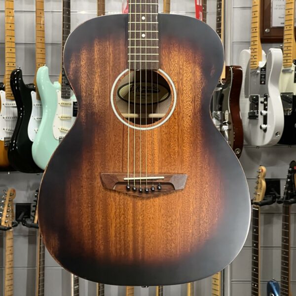 D ANGELICO - PREMIER TAMMANY AGED