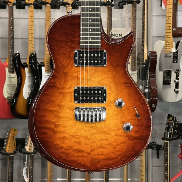 TAYLOR - SB1 SOLID BODY