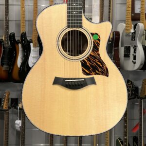 TAYLOR – 314 CE 2024