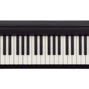 Roland FP-10 BK Black PROMO  – Spedizione Gratuita – Pronta Consegna