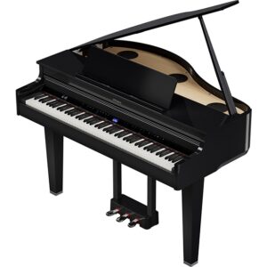 Roland GP-6 PE Gloss Black – Spedizione Gratuita – Pronta Consegna