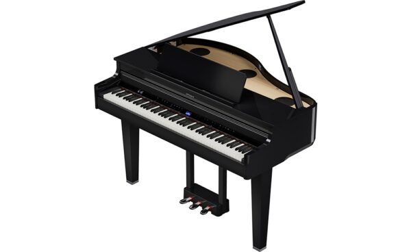 Roland GP-6 PE Gloss Black - Spedizione Gratuita - Pronta Consegna
