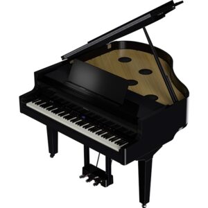 Roland GP-9 PE Gloss Black – Spedizione Gratuita – Pronta Consegna