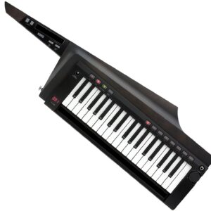 Korg RK-100S2 Black – Spedizione Gratuita – Pronta Consegna