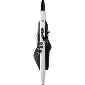 Roland AE-20 Aerophone  – Spedizione Gratuita – Pronta Consegna