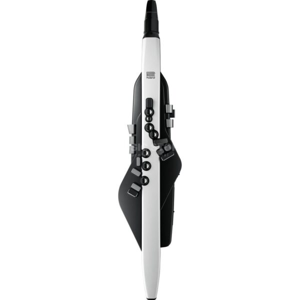 Roland AE-20 Aerophone  - Spedizione Gratuita - Pronta Consegna