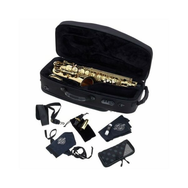 Selmer SA80II Sax Alto - immagine 3