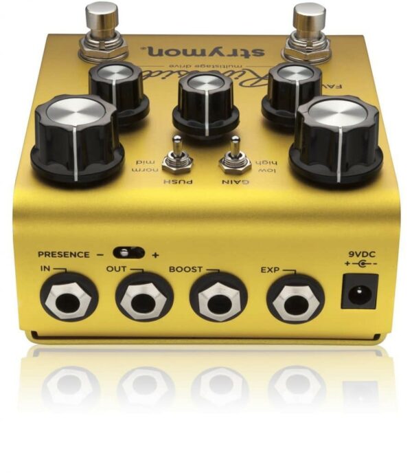 Strymon Riverside - immagine 2