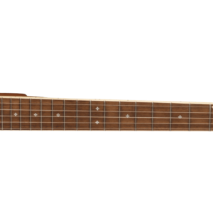 FENDER PB-180E BANJO CON FONDO APERTO CON CUSTODIA