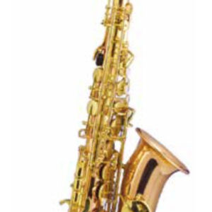 ARROW STV360 SAX SASSOFONO ALTO CONTRALTO IN MIB LACCATO CON CUSTODIA