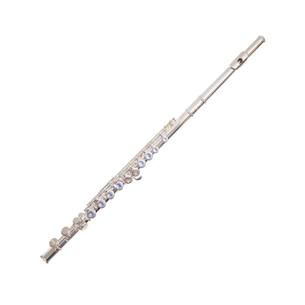 TREVOR JAMES TJ 5XE 3005EW FLAUTO TRAVERSO FORI CHIUSI TJ-5XE