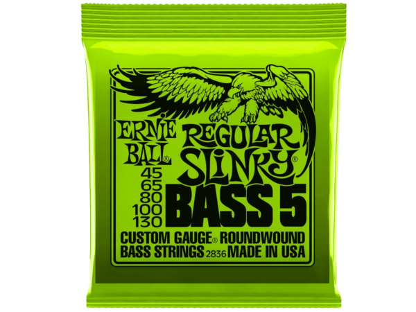 ERNIE BALL MUTA CORDE PER BASSO 5 CORDE