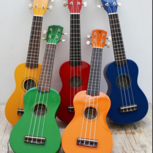 DOMUS MUSICA RIALTO UKULELE SOPRANO CON BORSA VARI COLORI