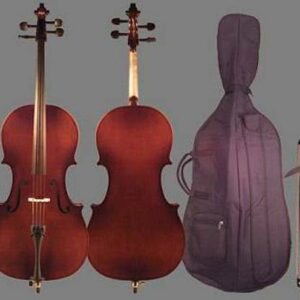 EASTMAN VC90T VIOLONCELLO 4/4 DA STUDIO IN ABETE MASSELLO CON CUSTODIA ACCESSORI E CORDE D’ADDARIO
