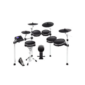 ALESIS DM10 MK2 PRO KIT BATTERIA ELETTRONICA PELLI MESH 10 PEZZI