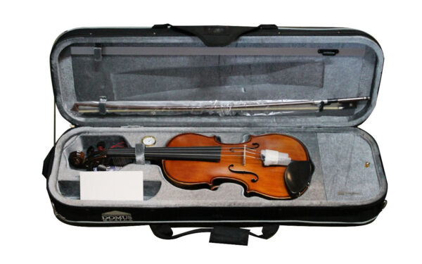 DOMUS MUSICA  ACCADEMIA 1 VIOLINO 4/4 DA STUDIO CON CUSTODIA