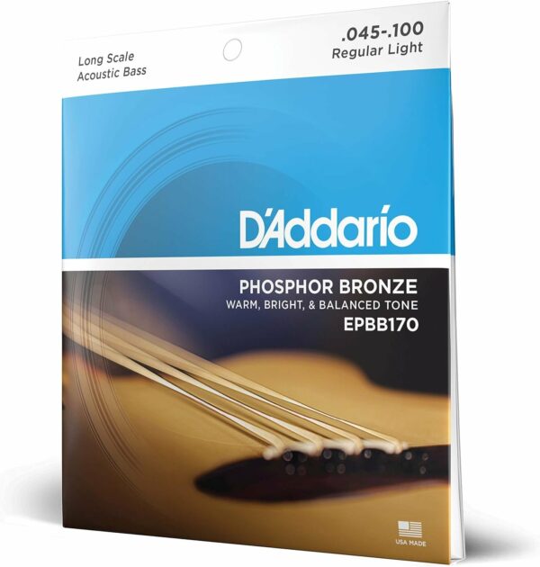 D'ADDARIO EPBB170 CORDE PER BASSO ELETTRICO 4 CORDE 045/100