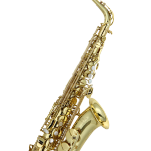 LIEN CHENG A701 65:35 BRASS SAX SASSOFONO ALTO CONTRALTO A-701 MADE IN TAWAIN