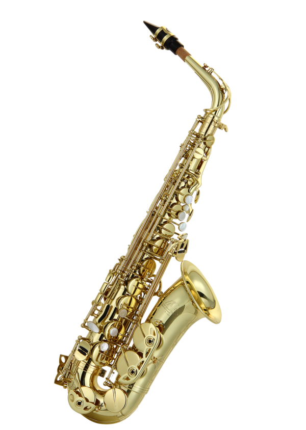 LIEN CHENG A701 65:35 BRASS SAX SASSOFONO ALTO CONTRALTO A-701 MADE IN TAWAIN