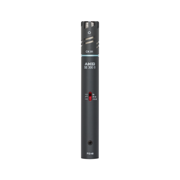 AKG C391B MICROFONO A CONDENSATORE CARDIOIDE C-391-B