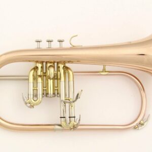 ROY BENSON FH302G RB701095 GEWAPURE FH-302G FLICORNO SOPRANO IN SIB