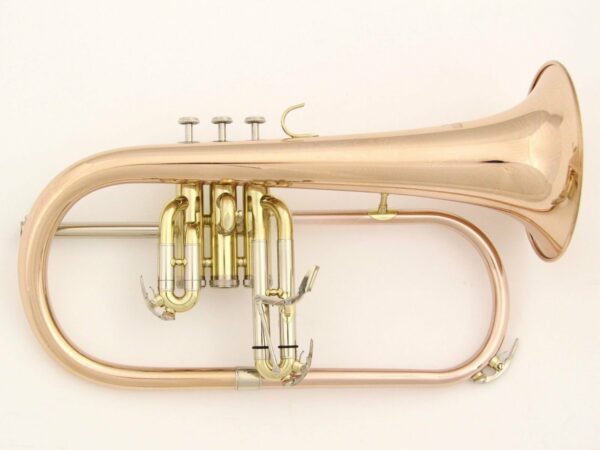ROY BENSON FH302G RB701095 GEWAPURE FH-302G FLICORNO SOPRANO IN SIB