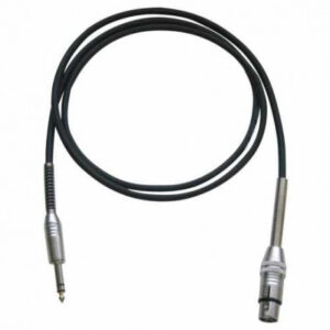 BESPECO IROMC100P CAVO PER MICROFONO 1 MT XLR/JACK CANNON FEMMINA JACK 6,3 MM TRS IROMC-100-P