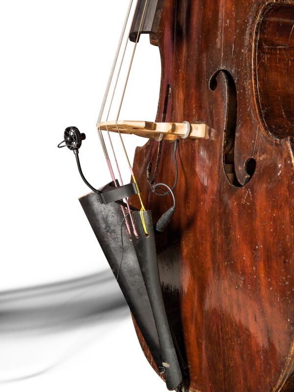 PRODIPE BL21 LANEN CONTREBASSE MICROFONO CLIP CONDENSATORE PER CONTRABBASSO BL-21