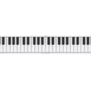 CARRY ON FOLDING TASTIERA A PIANO 49 TASTI REGOLARI PIEGHEVOLE CON USB MIDI