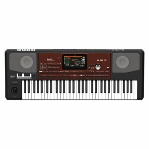 KORG PA700 ORIENTAL TASTIERA ARRANGER PROFESSIONALE CON SUONI ORIENTALI   DINAMICA 61 TASTI PA-700 O