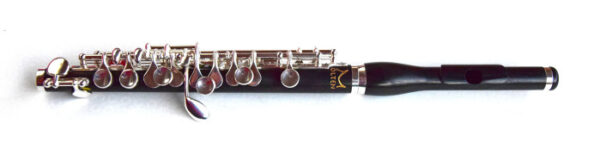 MOLTEN MY PICCOLO OTTAVINO IN LEGNO CON BOCCOLA SAGOMATA
