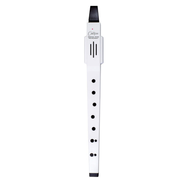 CARRY ON DIGITAL WIND INSTRUMENT WHITE FLAUTO DOLCE STRUMENTO A FIATO ELETTRONICO DIGITALE BLUETOOTH