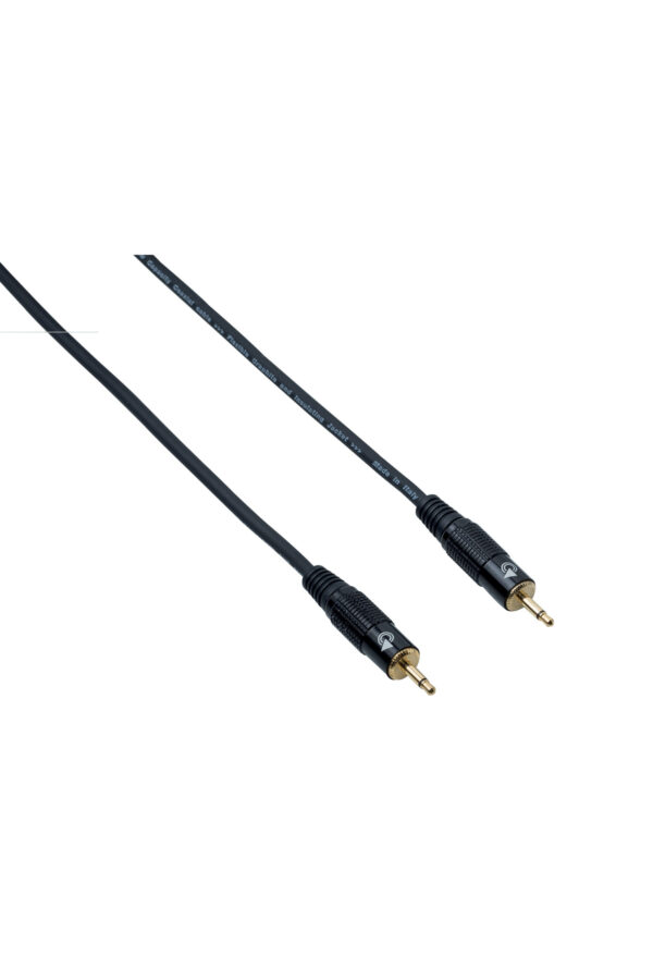 BESPECO EA2MJ300 Cavo 3 MT per dispositivi elettronici - jack Ø 3,5 mm - jack Ø 3,5 mm