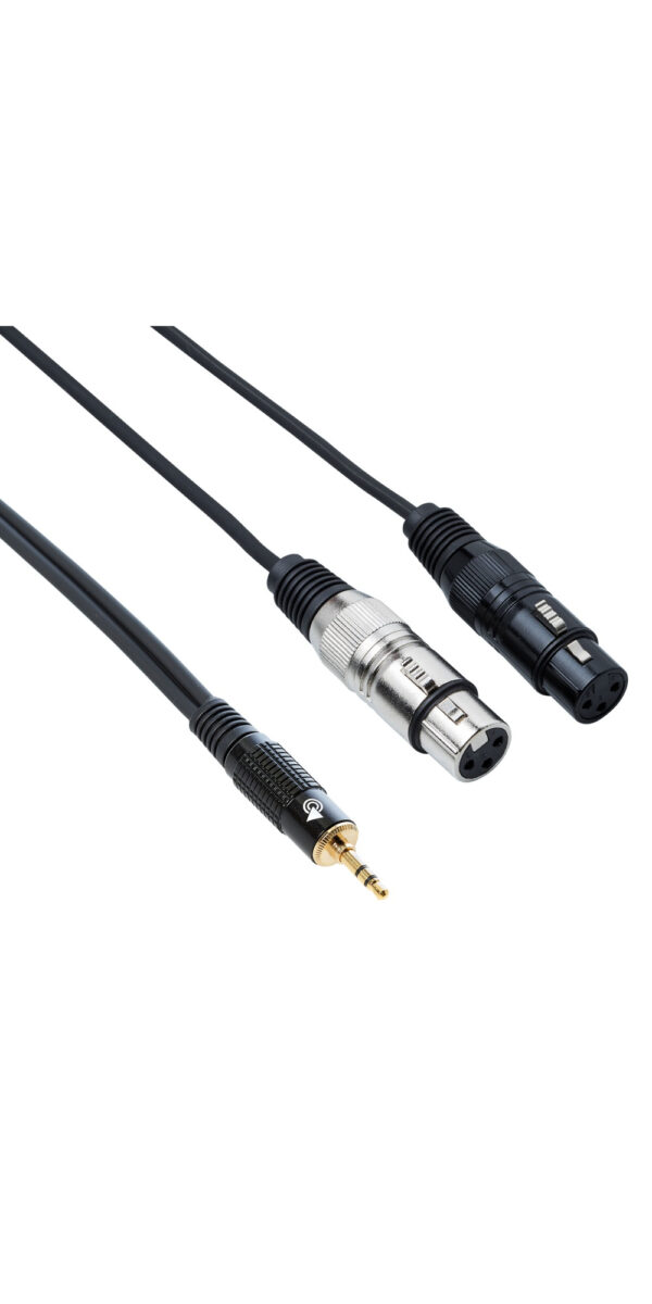 BESPECO AYMS2FX300 CAVO 2 XLR FEMMINA/ MINI JACK TRS 3,5 3 MT
