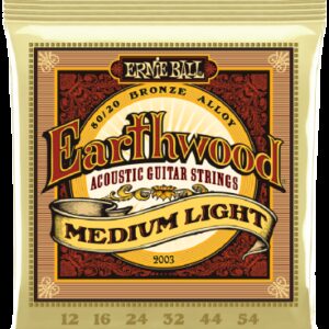 ERNIE BALL EARTHWOOD BRONZE 80/20 MUTA CORDE CHITARRA ACUSTICA