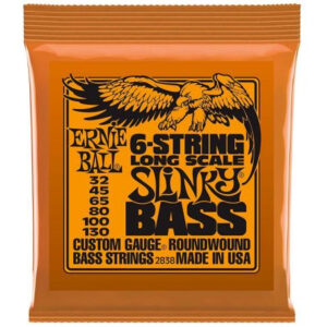 ERNIE BALL 2838 MUTA CORDE PER BASSO 6 CORDE
