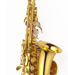 FLORET MPSC-701 SAX SASSOFONO SOPRANO RICURVO CURVO CON ASTUCCIO MPSC701