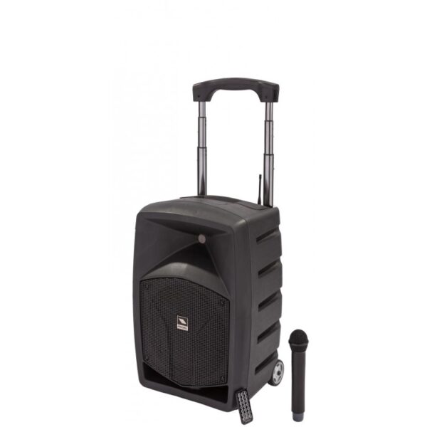 PROEL FREE10LT CASSA AMPLIFICATA ALIMENTATA SIA A BATTERIA RICARICABILE CHE CORRENTE FREE10-LT 120W