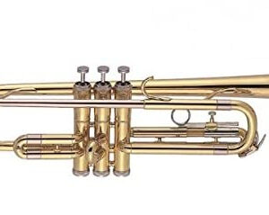 J. MICHAEL TR201 (EX200) TROMBA DA STUDIO IN SIB LACCATA ORO CON CUSTODIA TR-201