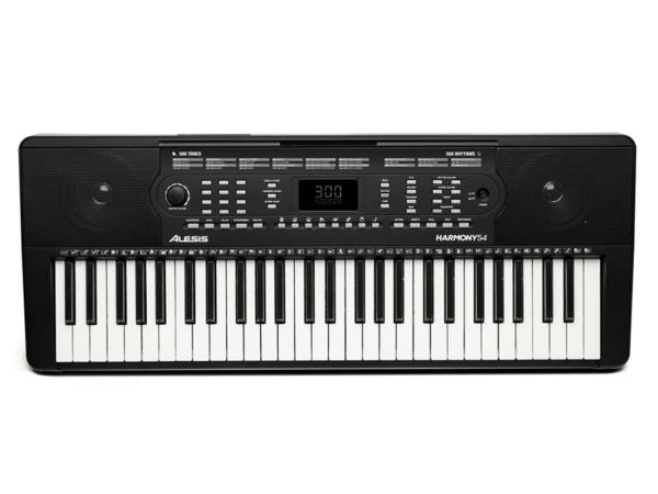 ALESIS HARMONY 54 MK2 TASTIERA PORTATILE 54 TASTI CON CASSE INTEGRATE MKII