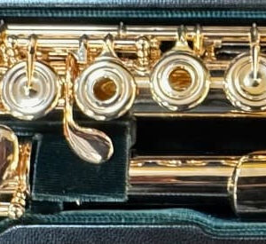ALTUS AS1607 ERB 13 FLAUTO TRAVERSO ARTIGIANALE IN ARGENTO BRITANNIA 9.58 CON CAMINETTI SALDATI DORA