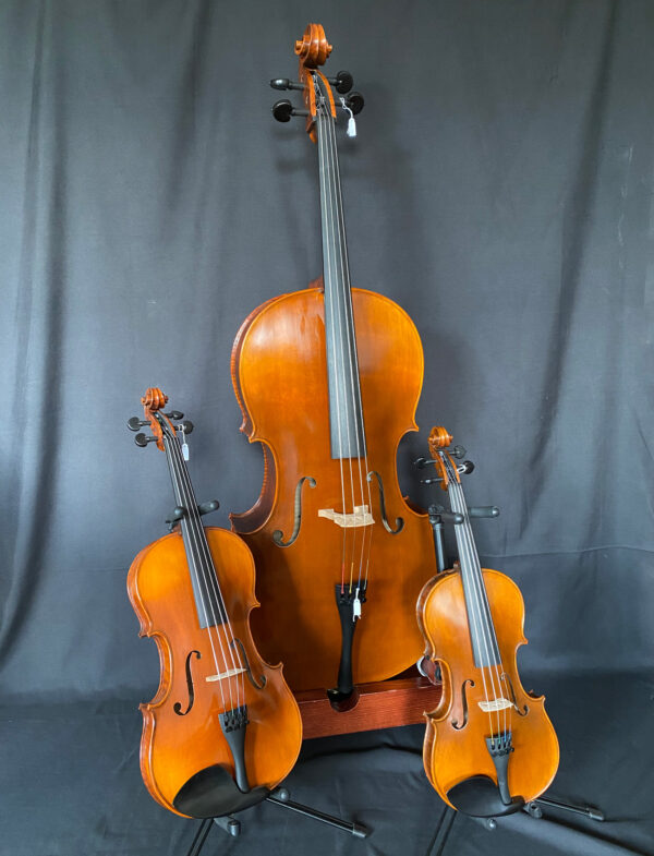 FAREAST MODELLO A VIOLONCELLO 4/4 IN ABETE MASSELLO CON ASTUCCO MORBIDO