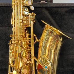 YANAGISAWA A-WO1 SAX SASSOFONO ALTO CONTRALTO PROFESSIONALE IN MIB AWO1 A-WO1