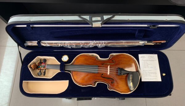 DOMUS MUSICA VL4500 ACCADEMIA 2 VIOLINO 4/4 DA STUDIO CON CUSTODIA VL-4500