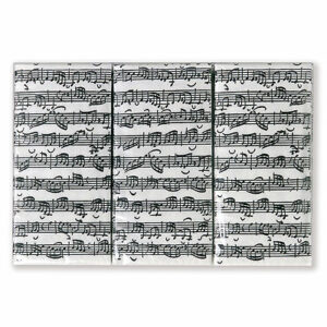 VIENNA WORLD K0269 GADGET DA REGALO FAZZOLETTI DI CARTA CON NOTE MUSICALI BACH 1 CONFEZIONE