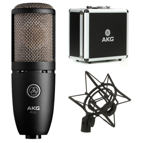 AKG PERCEPTION P- 220 MICROFONO A CONDENSATORE A DIAFRAMMA LARGO PER VOCE E STRUMENTI P220