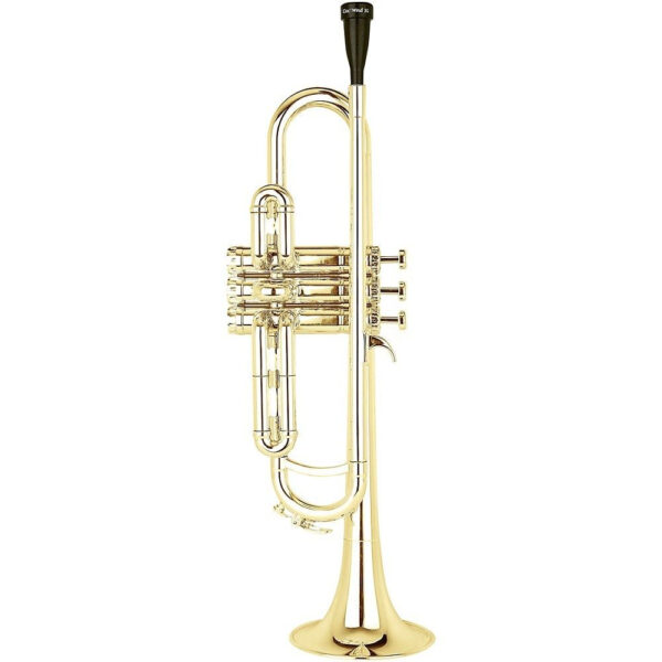 COOL WIND CTR200G TROMBA IN SIB IN PLASTICA DORATA CON FODERA COOLWIND CTR-200-G
