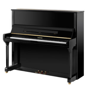 W. HOFFMANN MADE BY BECHSTEIN V-131 VISION PIANO PIANOFORTE VERTICALE ACUSTICO V131