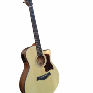 VERMONT G120CE-N CHITARRA ACUSTICA ELETTRIFICATA G120CEN ( MS305)