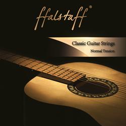 MUTA CHITARRA CLASSICA F2843